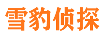 南部市调查公司